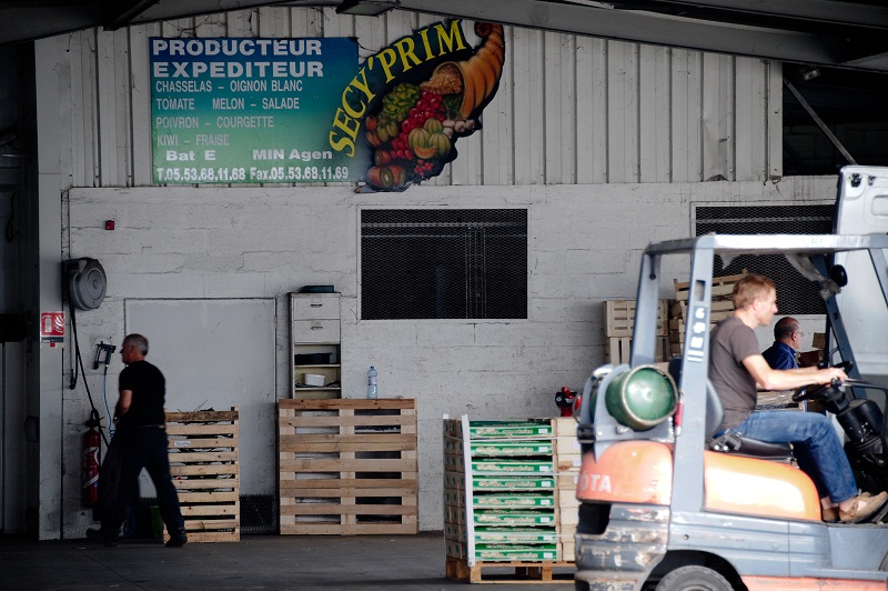 SECY'PRIM Sas, achat, vente de fruits et légumes