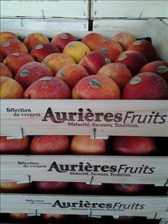 AURIERES Sarl