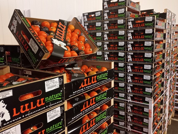 SAVIO & Fils, Tous commerce de fruits primeurs légumes