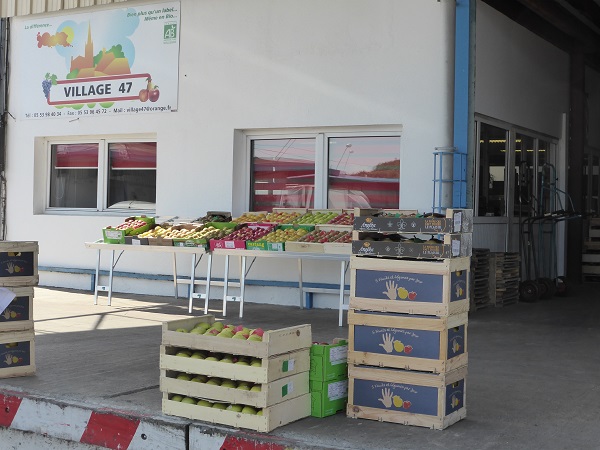 VILLAGE 47 Sarl, Vente en gros de fruits et légumes